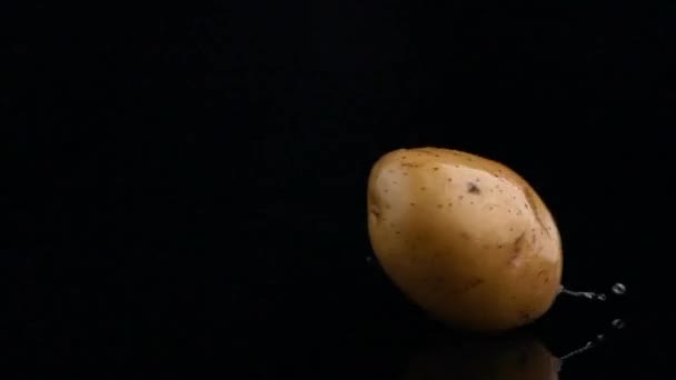 Нова Картопля Ізольована Чорному Тлі Крупним Планом — стокове відео