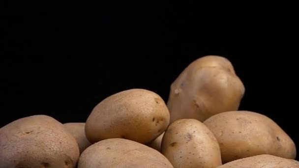 Légume Pomme Terre Isolé Sur Fond Noir Vidéo — Video