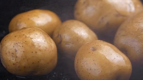 Rauwe Aardappel Geïsoleerd Zwarte Achtergrond Video — Stockvideo