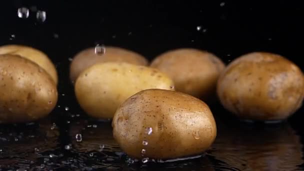 Färsk ekologisk ung potatis med vatten — Stockvideo