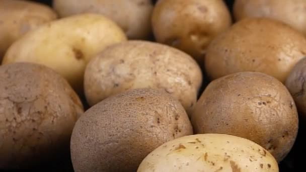 Patatas jóvenes orgánicas frescas. alimentos saludables — Vídeos de Stock