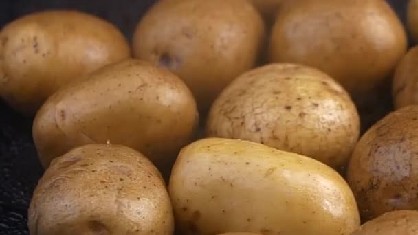 Свежая органическая молодая картошка. здоровое питание — стоковое видео