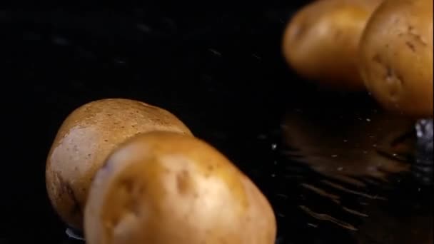 Vídeo de queda de batatas cruas — Vídeo de Stock