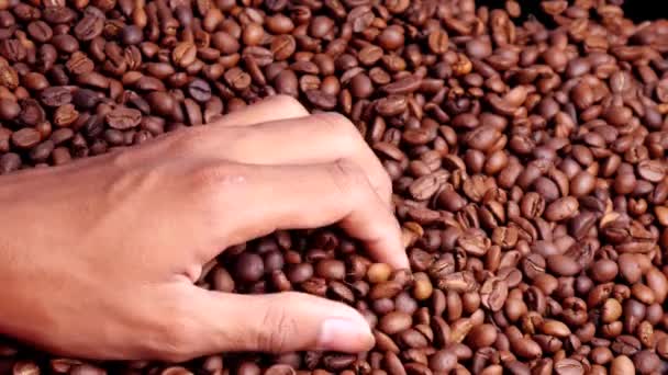 Großaufnahme Von Händen Die Kaffeebohnen Auf Einen Stapel Kaffeebohnen Gießen — Stockvideo