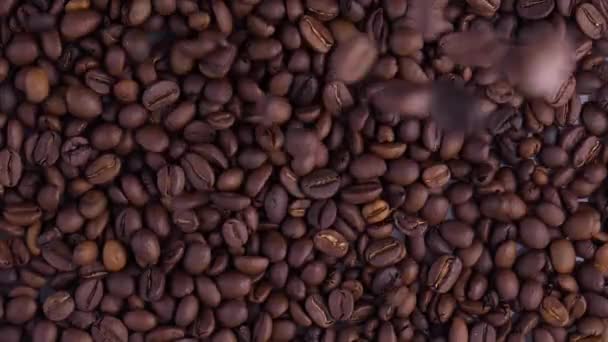 黑咖啡燕麦 旋转和坠落 咖啡豆 关闭咖啡的种子 美丽的咖啡种子 — 图库视频影像