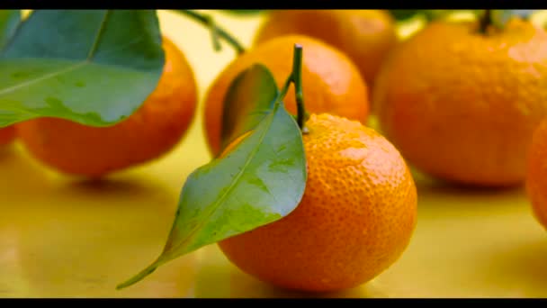 Μίνι πορτοκαλί και φύλλα σε κίτρινο φόντο — Αρχείο Βίντεο