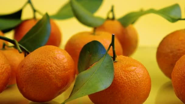 Frische Orangen mit Blättern Hintergrund — Stockvideo