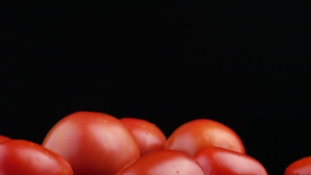 Tomate auf schwarzem Hintergrund. Nahaufnahme. — Stockvideo