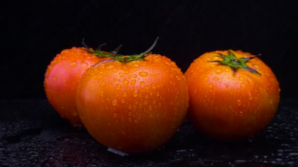 Frische Tomaten Nahaufnahme auf schwarzem Hintergrund — Stockvideo