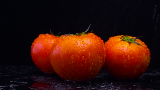 Frische Tomaten Nahaufnahme auf schwarzem Hintergrund — Stockvideo