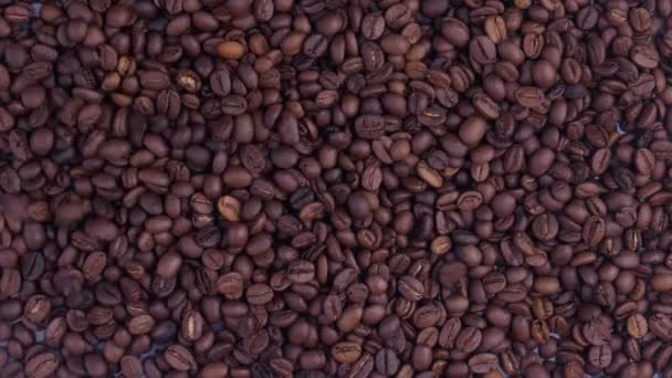 Dark Coffee Grains. Coffee beans. Beautiful seeds of coffee. — 비디오