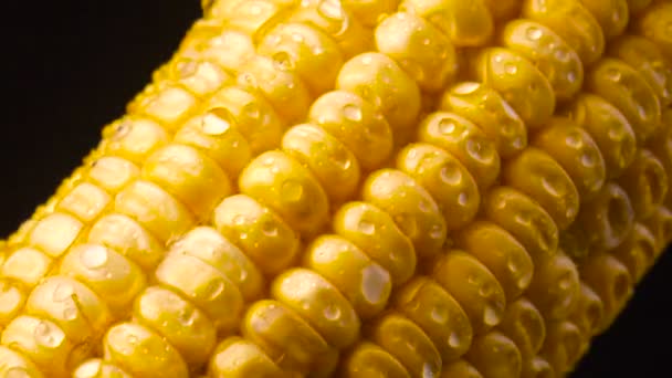 Dulce maíz fresco amarillo de cerca — Vídeos de Stock