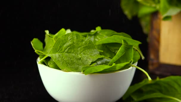 Fresh Spinach. Fresh vegetables on the tables — Αρχείο Βίντεο
