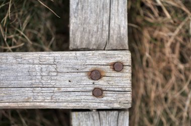 Seramik kolajlar için bir zemin ile dekoratif sıva duvar