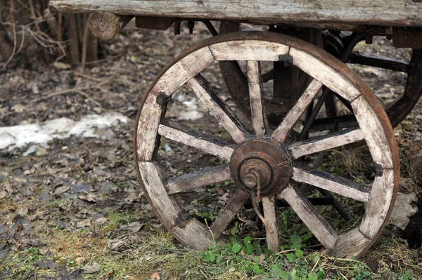 Fragment Old Horse Cart Wooden Wheel — Stock Photo, Image