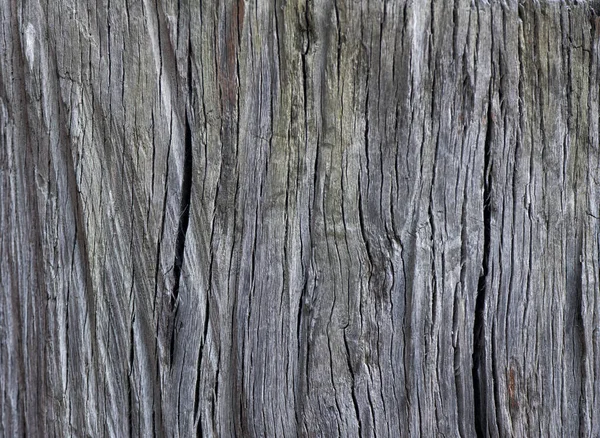 Altes Holzbrett Mit Rissen Und Struktur Aus Fasern Und Ästen — Stockfoto