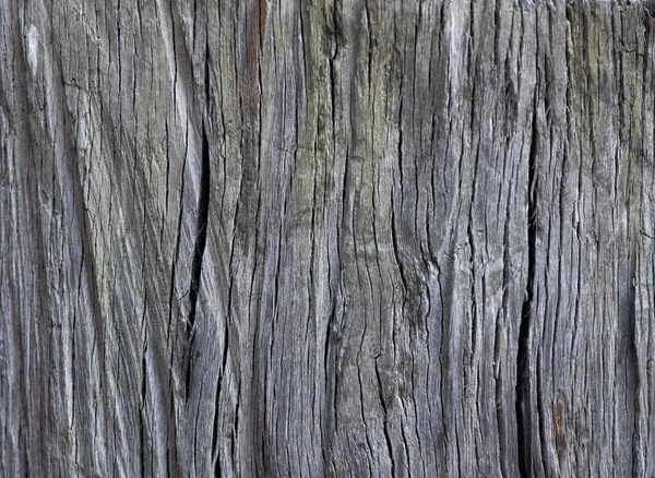 Tablero Madera Viejo Con Grietas Estructura Fibras Nudos —  Fotos de Stock