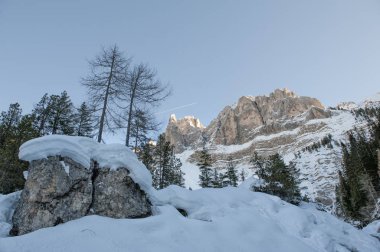 Kışın İtalya 'da Dolomitler. Ormanın ve mavi gökyüzünün arka planındaki kayalar ve uçurumlar