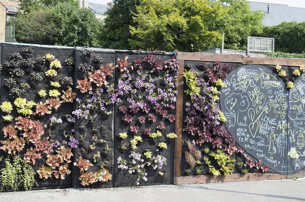 MARGATE, UK-AUGUST 27:  Visitors enjoy The listening Wall project which is a community greening project that supports mental health. Visitors can write or post messages that are read by volunteers. August 27, 2016, Margate, Kent UK — Stock Photo, Image