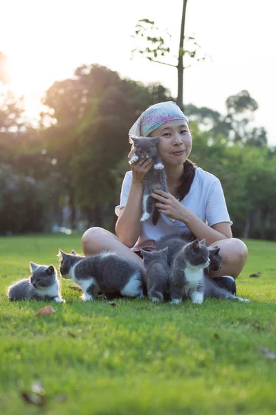 여자와 회색 고양이 — 스톡 사진
