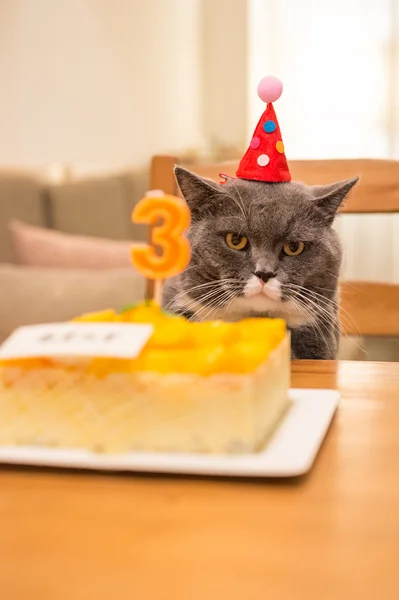 A abreviatura britânica e bolo de aniversário — Fotografia de Stock