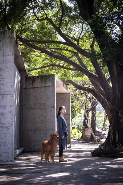 Girls and golden retrievers — Stock Photo, Image