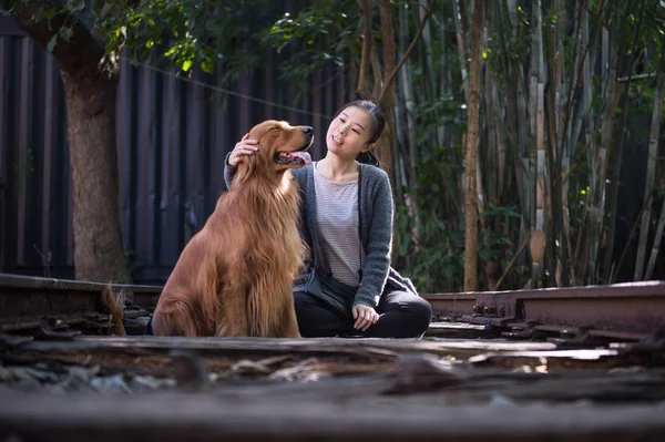 Girls and golden retrievers — Stock Photo, Image