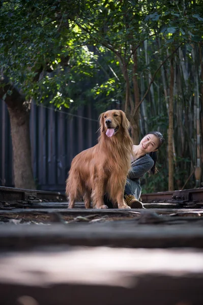 Niñas y golden retrievers —  Fotos de Stock