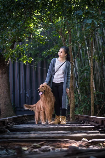 Girls and golden retrievers — Stock Photo, Image