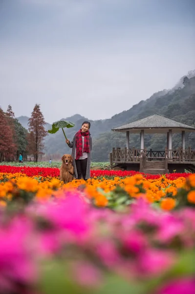 Fille et golden retriever dans les fleurs — Photo