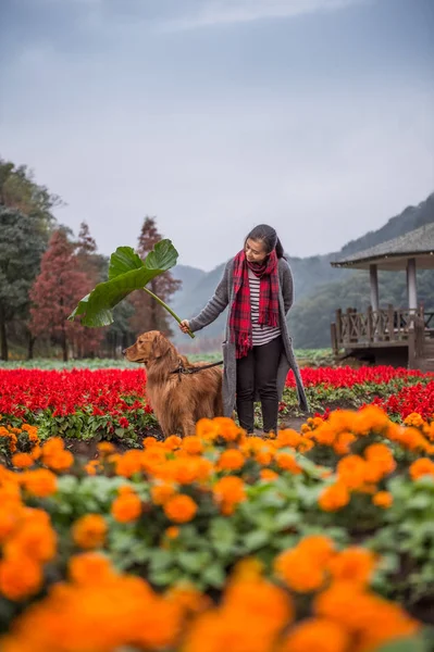 Girl and golden retriever in the flowers — Stock Photo, Image