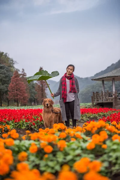 Fata și retriever de aur în flori — Fotografie, imagine de stoc