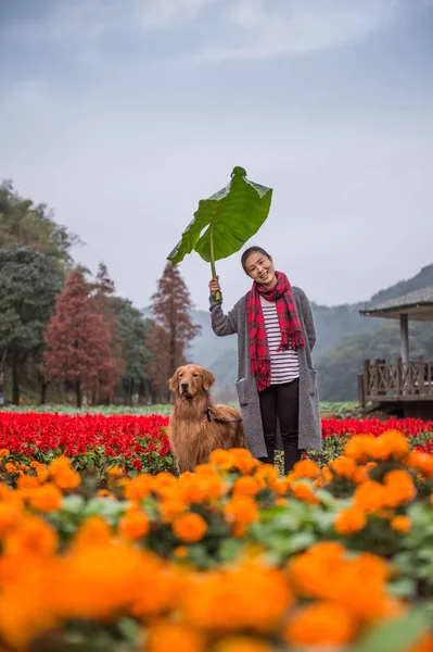 Fata și retriever de aur în flori — Fotografie, imagine de stoc