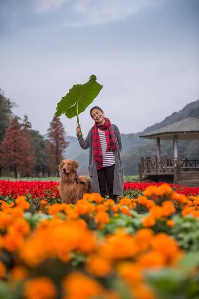 Fata și retriever de aur în flori — Fotografie, imagine de stoc