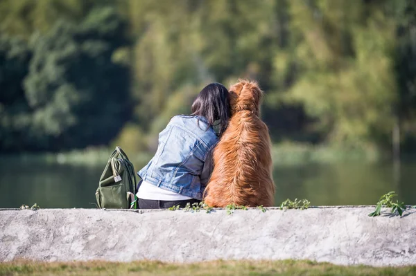 Menina e golden retriever — Fotografia de Stock