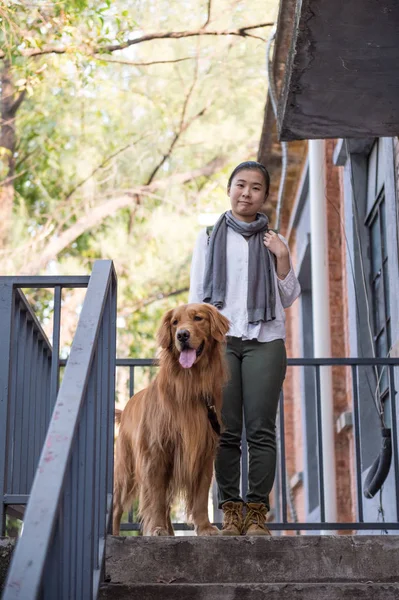 Ragazza e golden retriever — Foto Stock