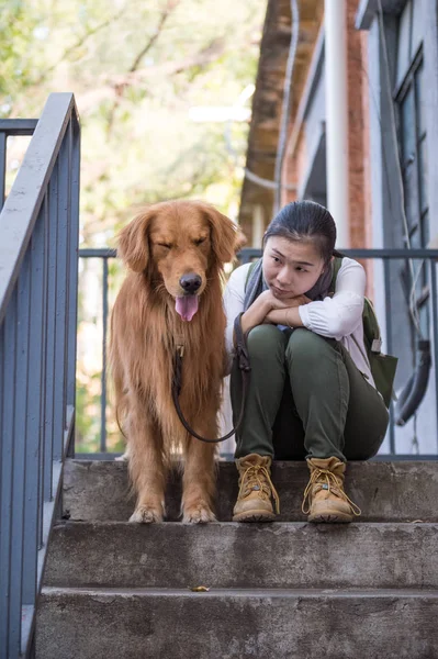 Menina e golden retriever — Fotografia de Stock