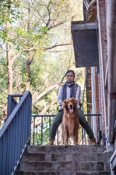 Menina e golden retriever — Fotografia de Stock