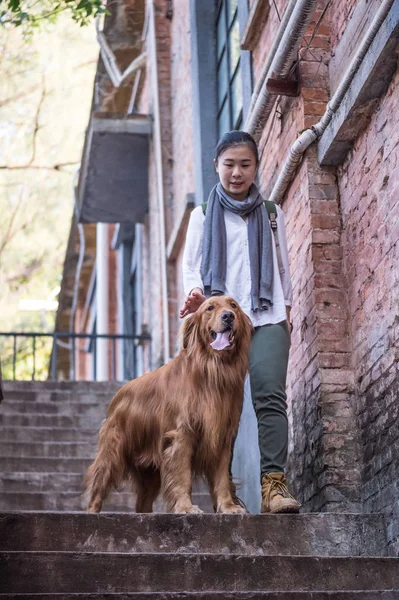 Ragazza e golden retriever — Foto Stock