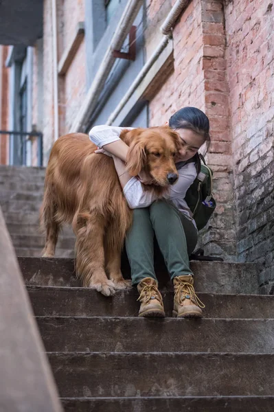 Ragazza e golden retriever — Foto Stock