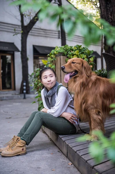 Girl and golden retriever — Stock Photo, Image