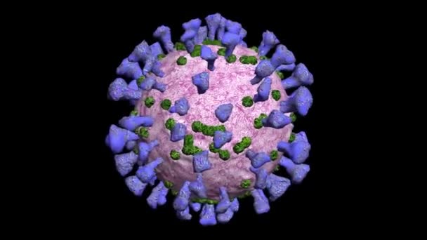 Victoria Sobre Coronavirus Covid Pandemia Será Derrotada Cuídate — Vídeo de stock