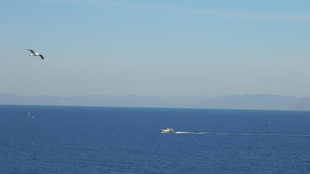 Yunanistan Attica Kıyısındaki Mavi Denizde Tekne Martılar — Stok video