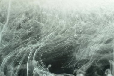 Mürekkep ve boya su ile süt girdap. soyutlama