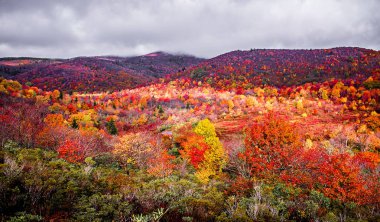Mezarlık alanları sonbaharda Blue Ridge Parkway üzerinde