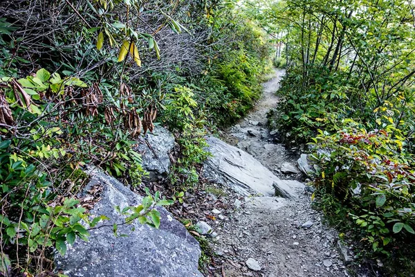 Landskap natursköna vyer på isgah nationalskog — Stockfoto