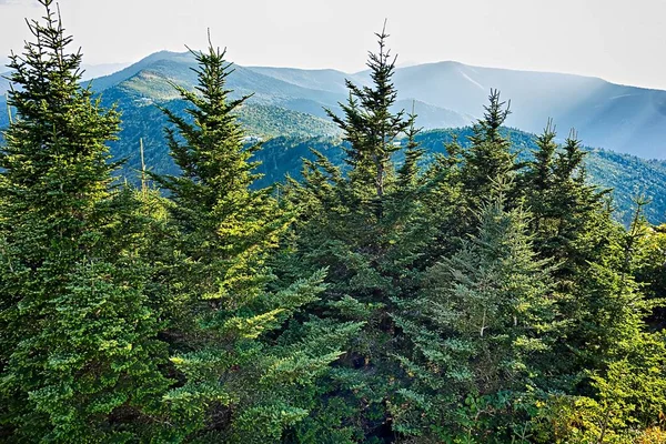 Mount Mimtchell západ slunce krajina v létě — Stock fotografie