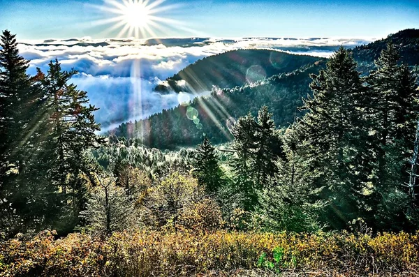 Parque Nacional de las Grandes Montañas Humeantes — Foto de Stock