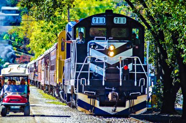 büyük smoky Dağları raylı yol tren yolculuğu
