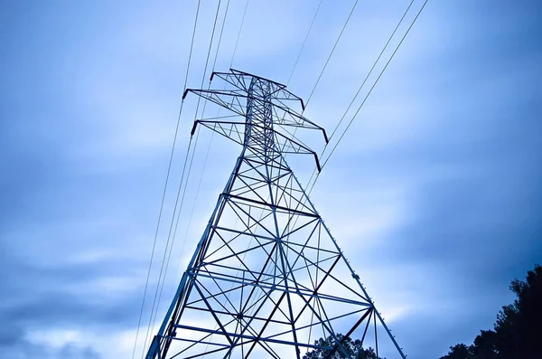 High voltage carrier power lines through the forest — Stock Photo, Image